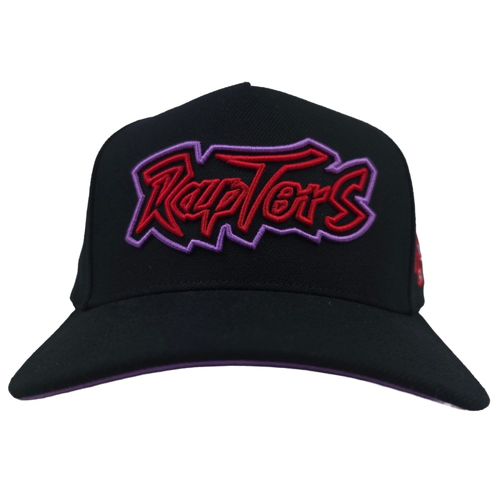 Toronto Raptors Mitchell & Ness NBA Pro Fit Snapback Hat Cap 3D Logo Black New